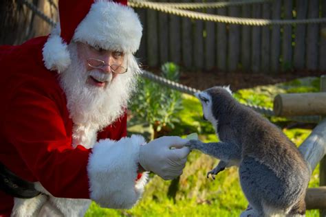 zoos sussex.